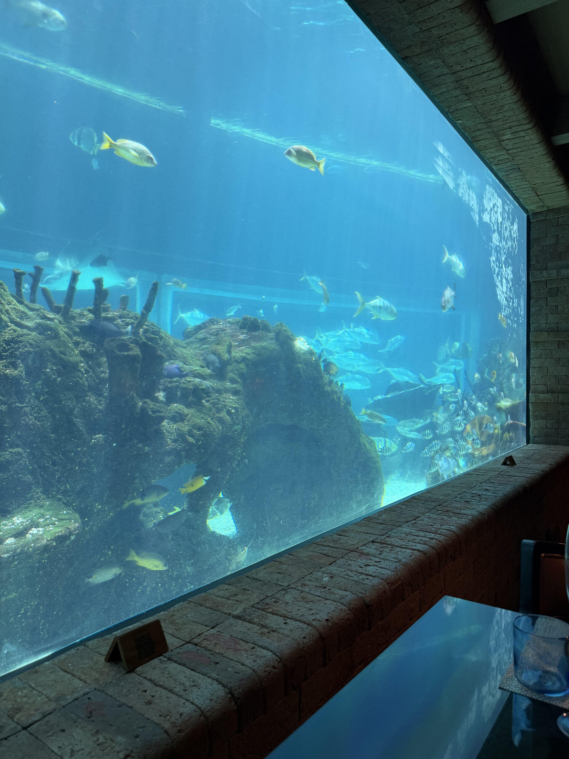 Koralレストランの床下水槽