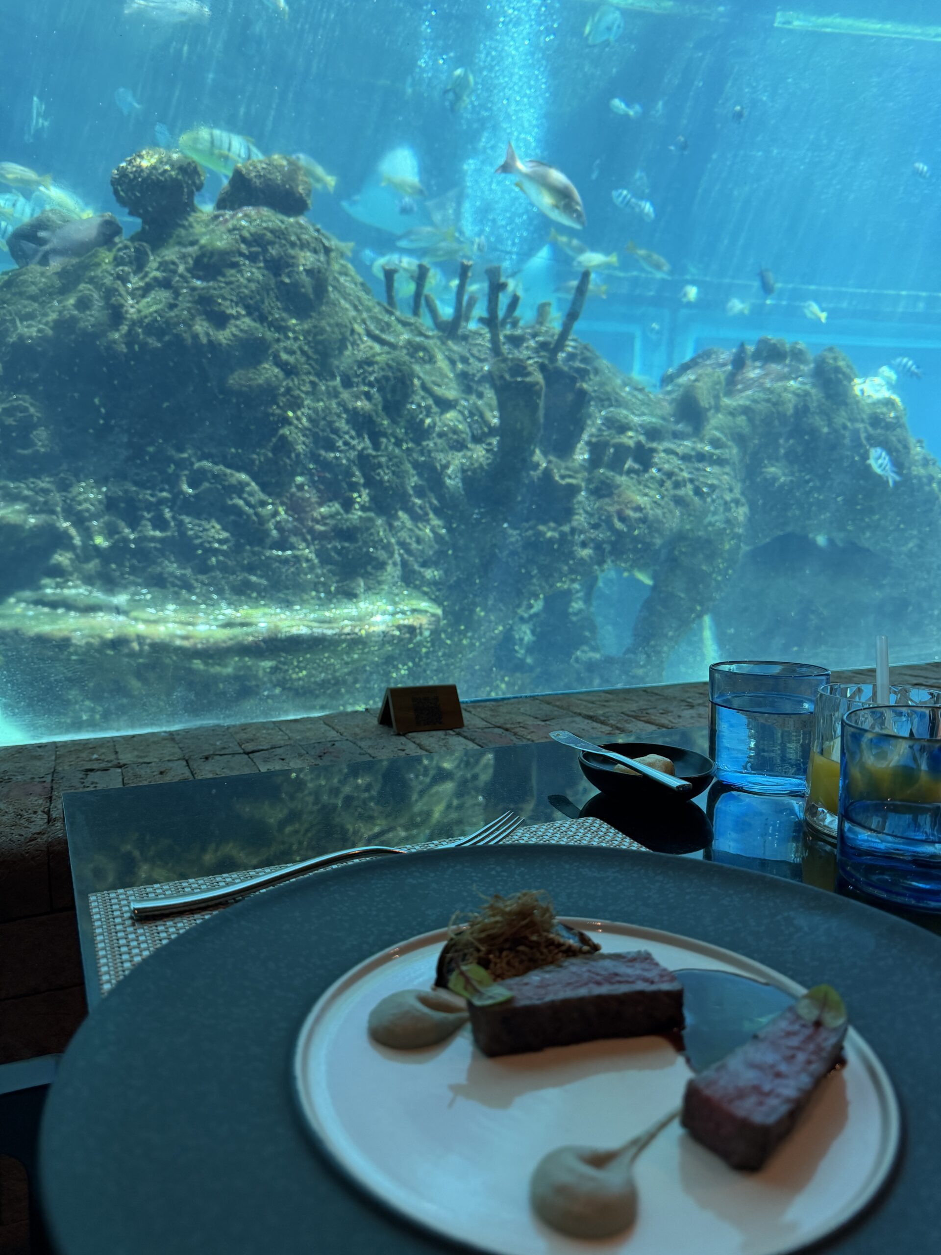 水槽越しに料理を楽しむKoralならではの風景