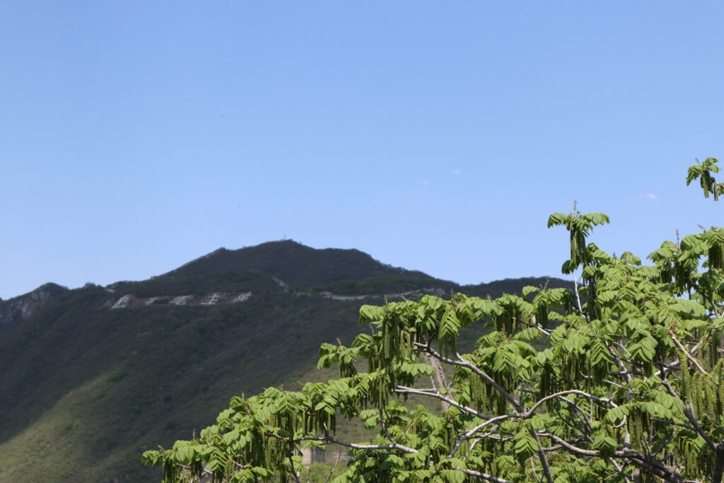 慕田峪長城を包む森林と山岳景観