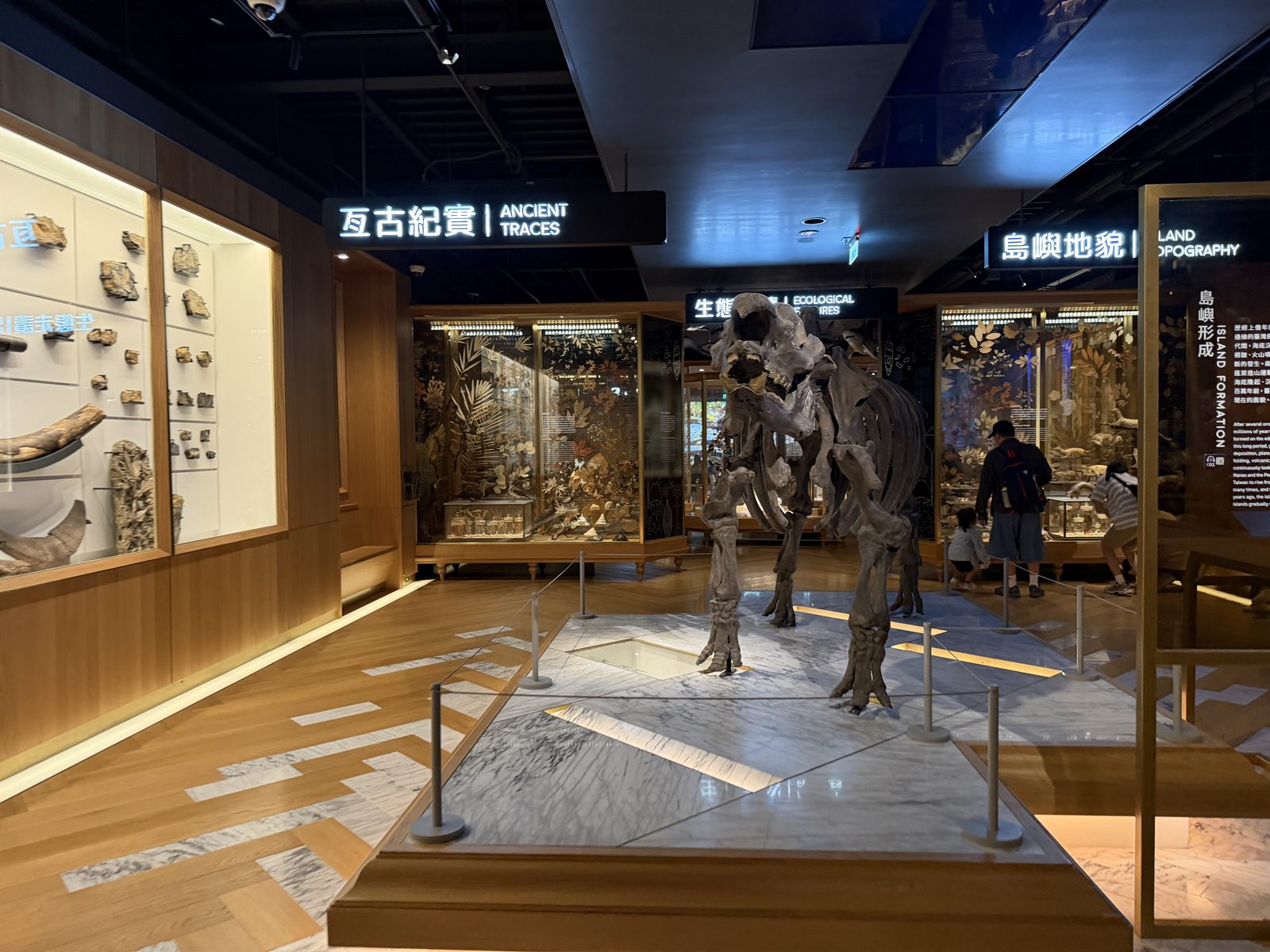 常設展「自然台湾」の展示室。大型哺乳類の全身骨格と標本ケースが並ぶ
