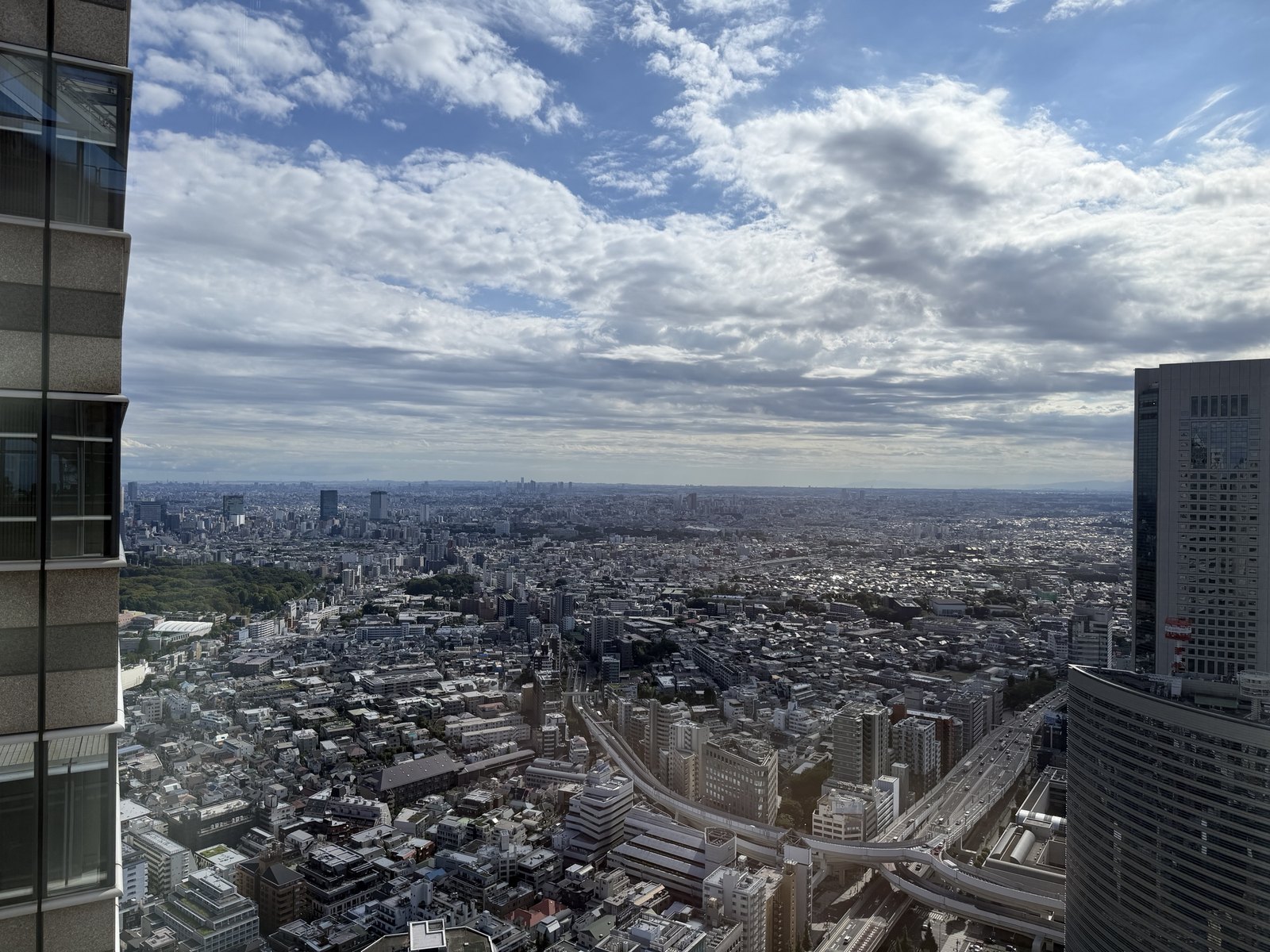 高層階から見下ろす新宿周辺の市街地と首都高の高架