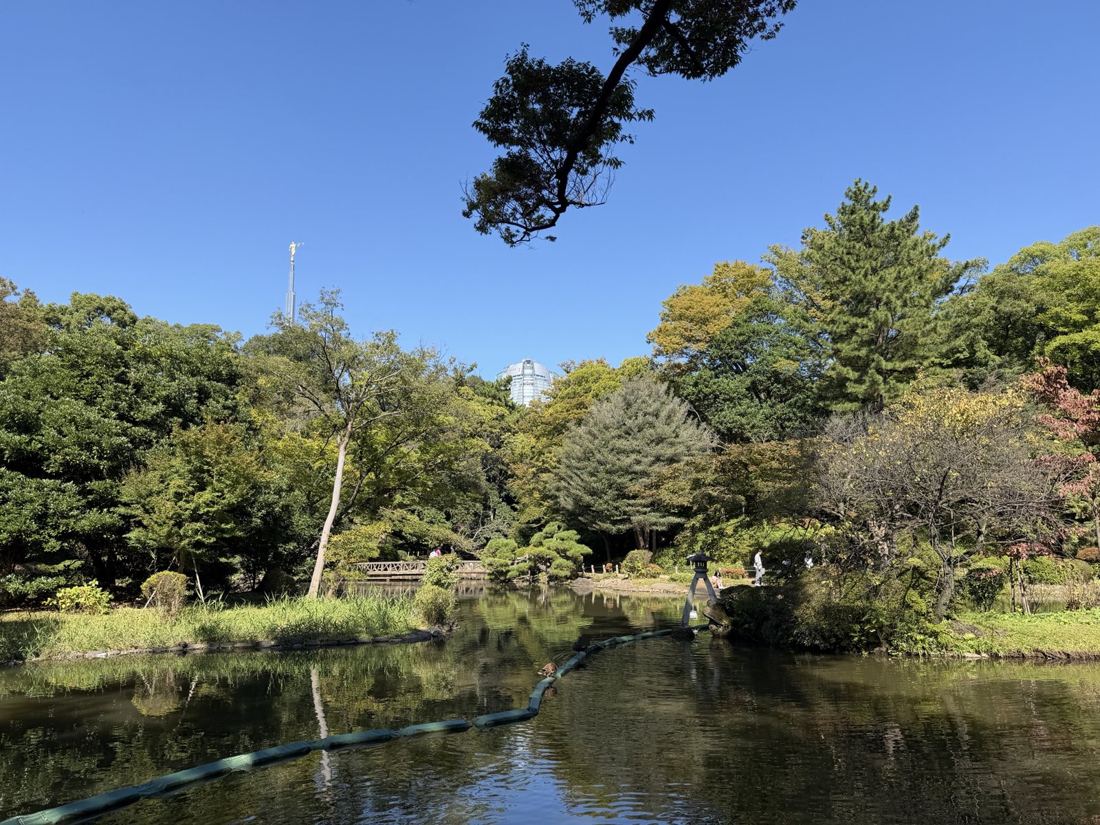 有栖川宮記念公園の池。奥に木橋と石灯籠、周囲を木々が囲む