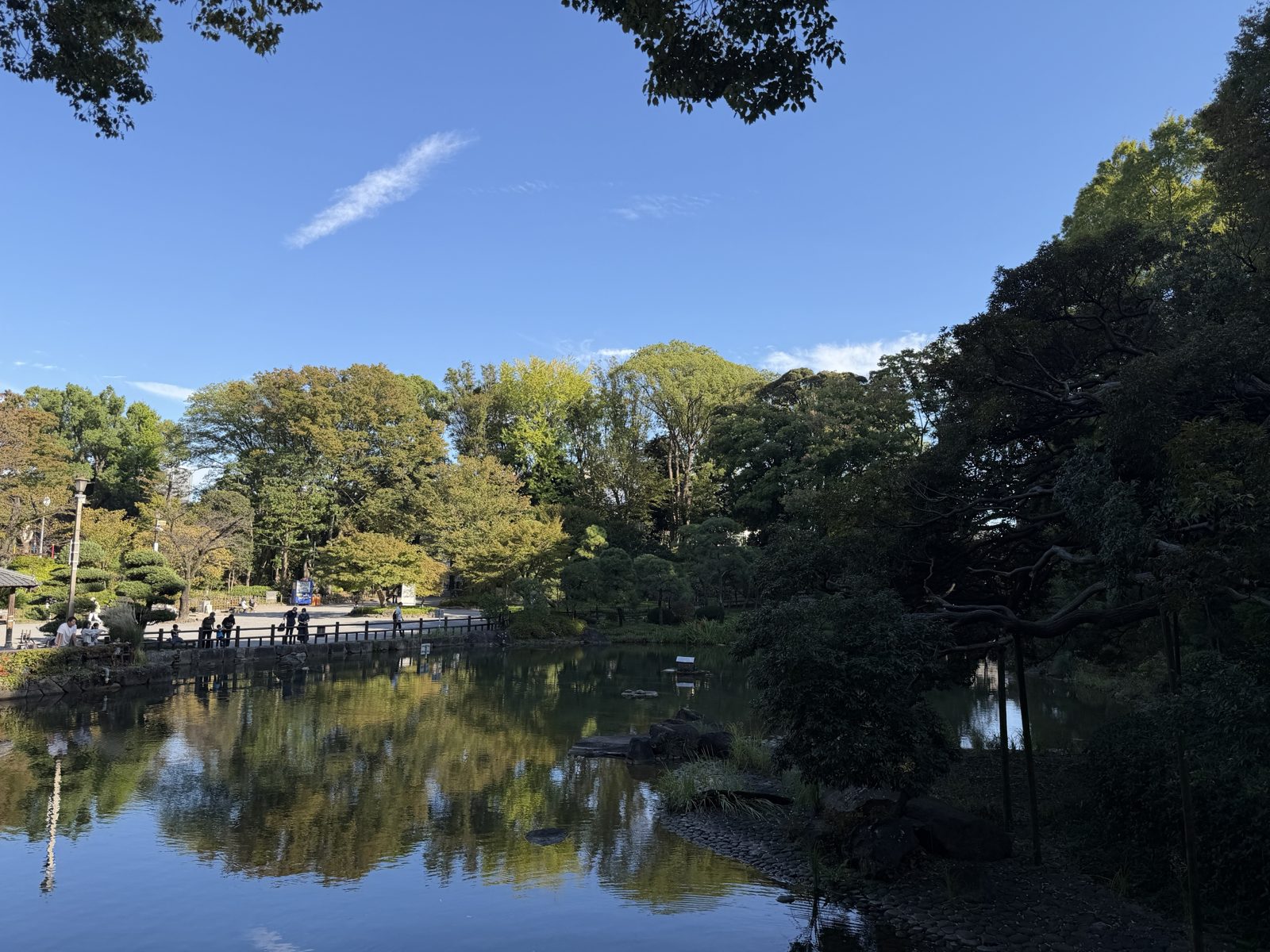 青空と木々が水面に映る戸越公園の池